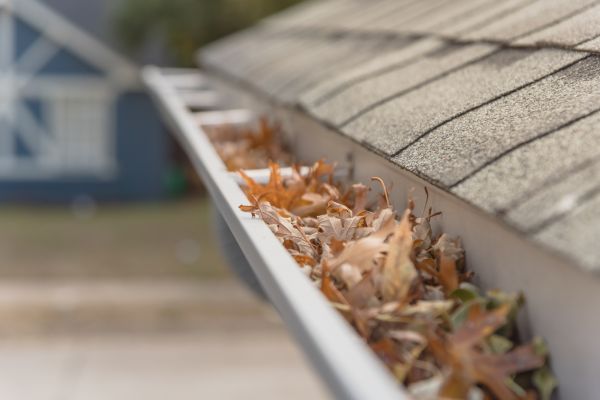 Leaf Barrier Installation in Greenville